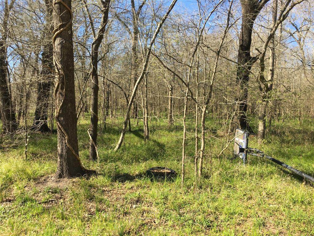 TBD County Road 2853 Off Of And 2854 - Photo 1