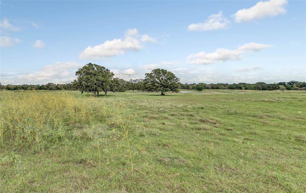 999 County Road 156 - Photo 1