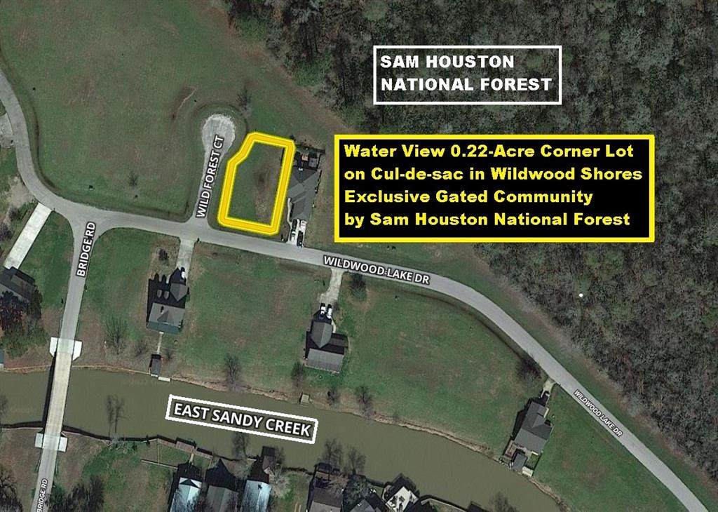 2 Wild Forest Court - Photo 1