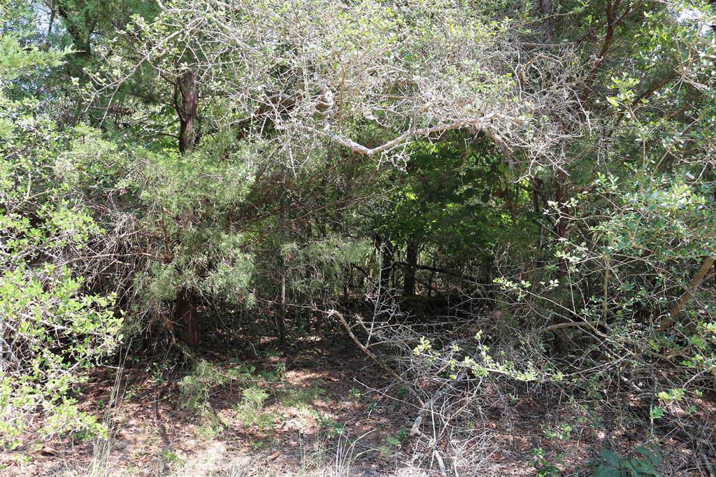 TBD Holly Springs Road - Photo 1