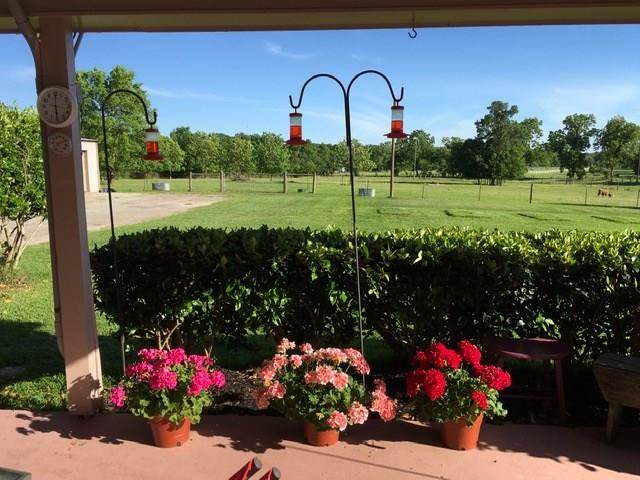 33603 Pecan Hill Drive Drive - Photo 1