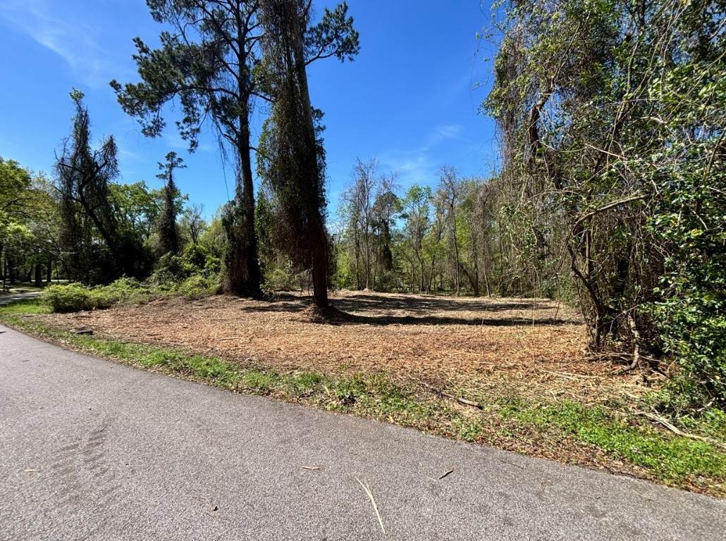0 Timber Lakes Drive - Photo 1