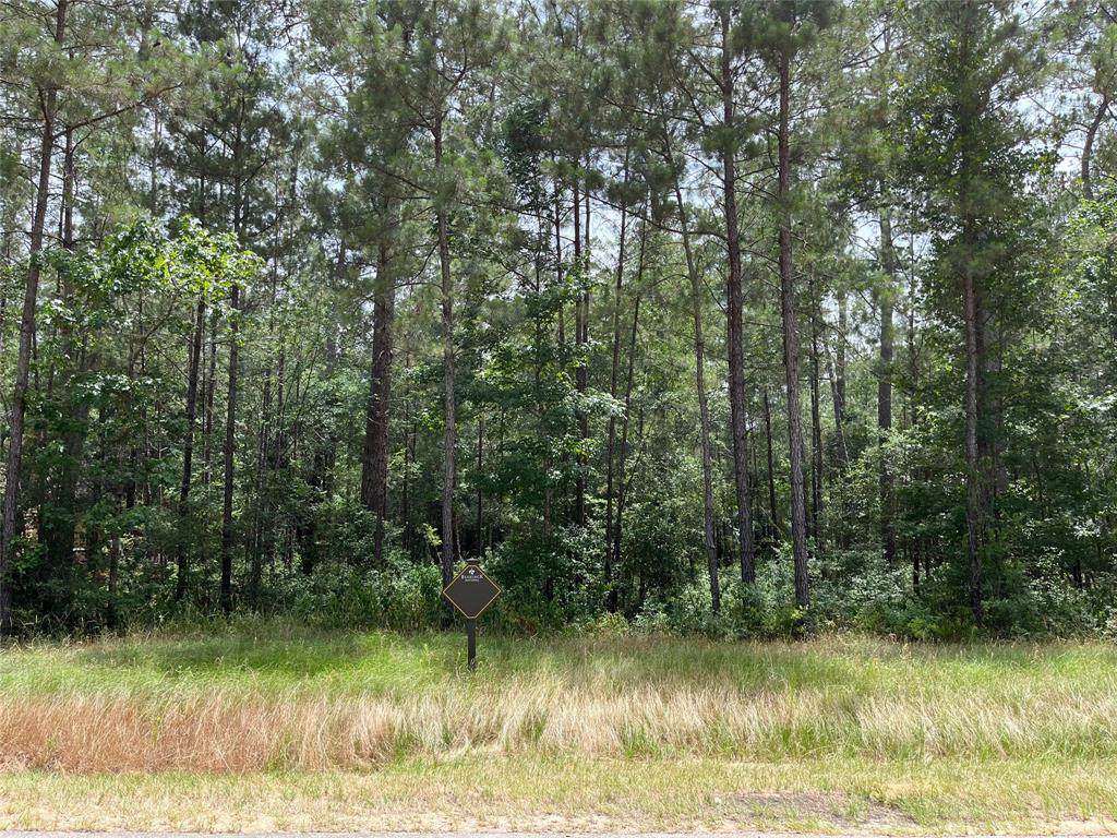 4410 Holly Trail Rd - Photo 1