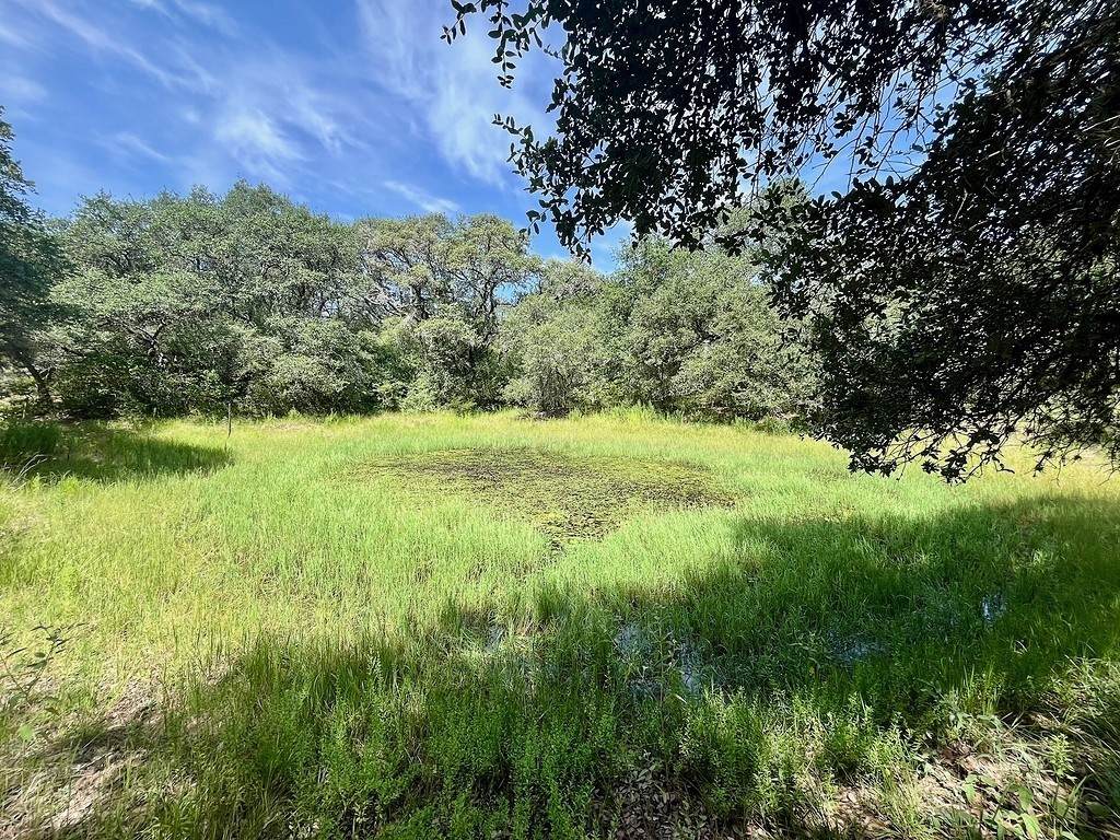 TBD Hwy 90A - Photo 1