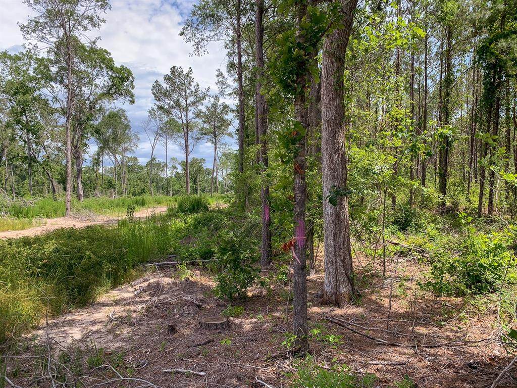 0 Evans Gann Road - Photo 1