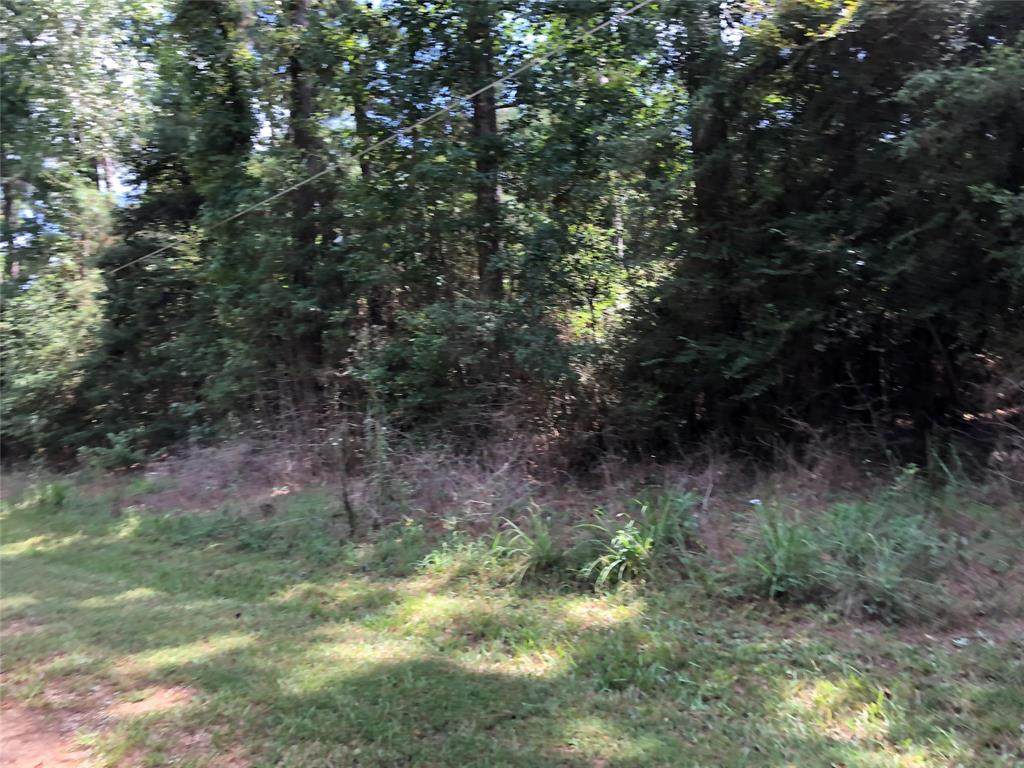 L492 Pine Shadow Street - Photo 1
