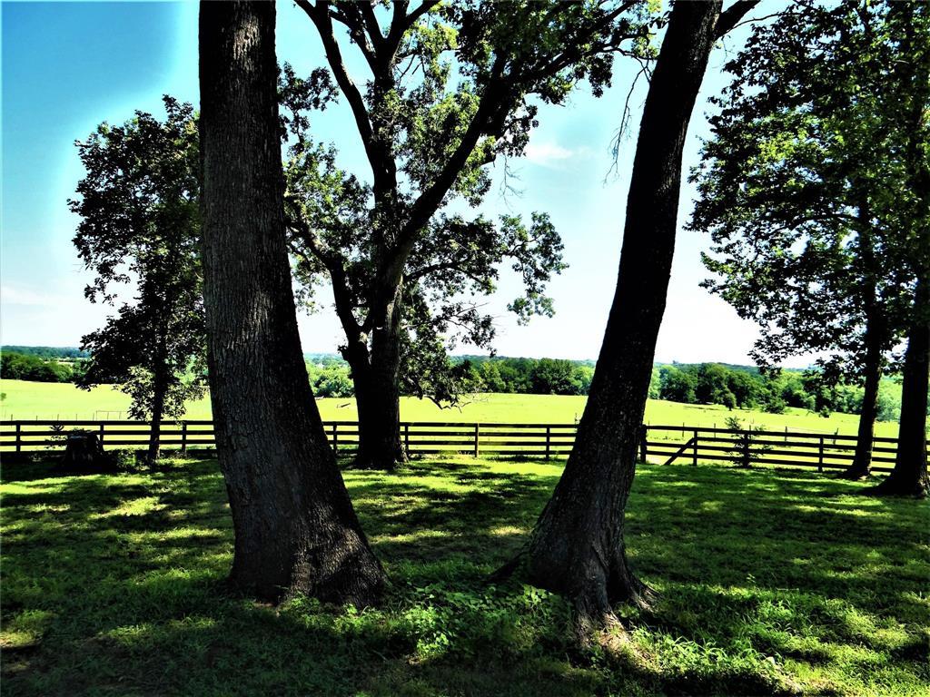 12409 Husemann Road - Photo 1