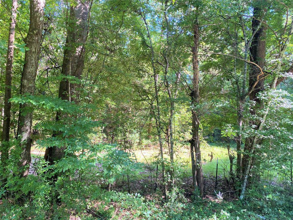 TBD County Road 2185 - Photo 1