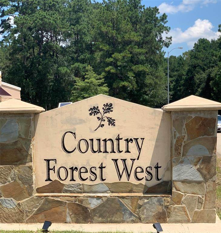 40900 Country Forest Drive - Photo 1