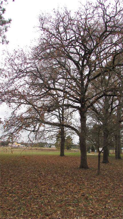 00 Deer Haven Circle - Photo 1