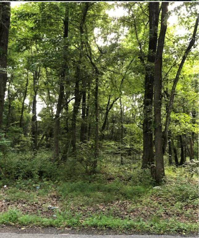 Lot 33 Tulip Lane - Photo 1