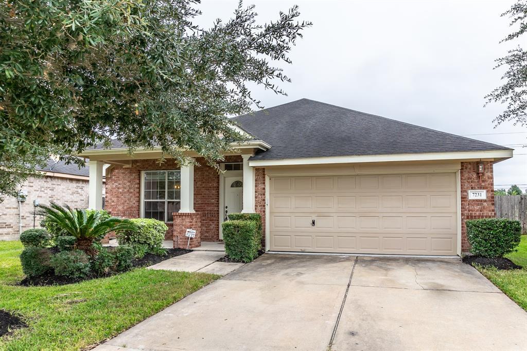 7231 Desert Bluff Lane - Photo 1