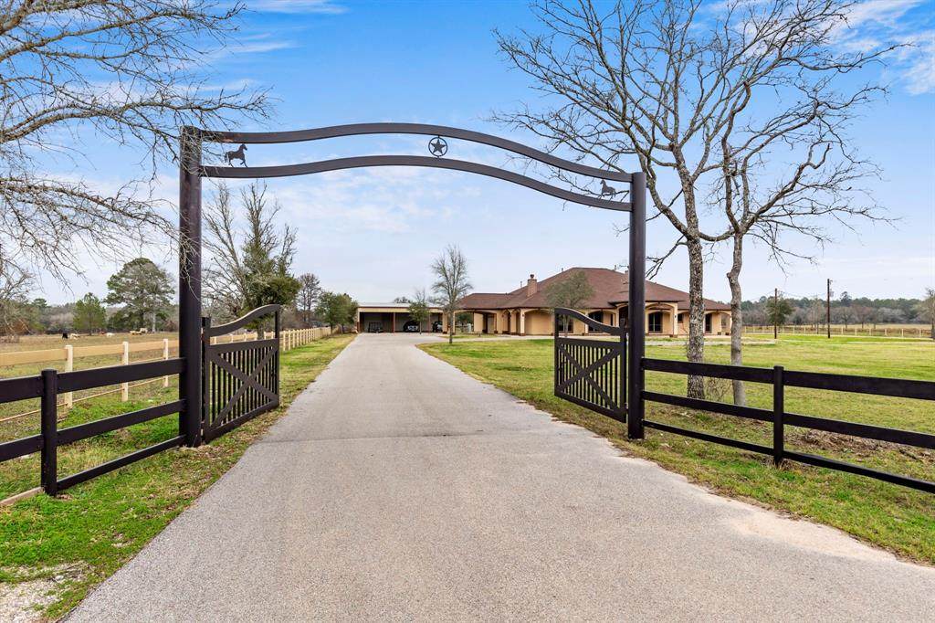 27774 Muckelroy Road - Photo 1
