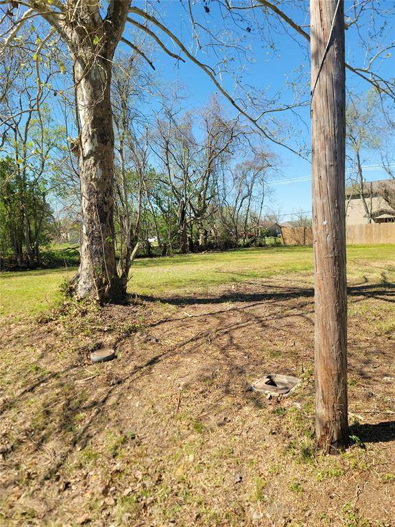 205 Cobb Street - Photo 1