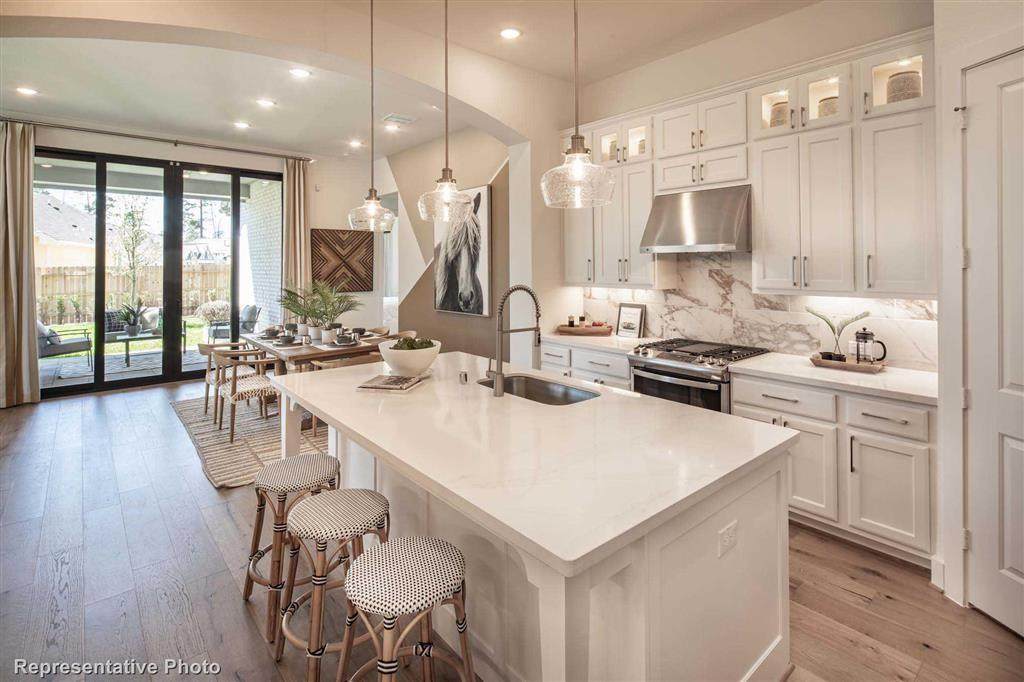 30002 Cherry Sage Lane - Photo 1