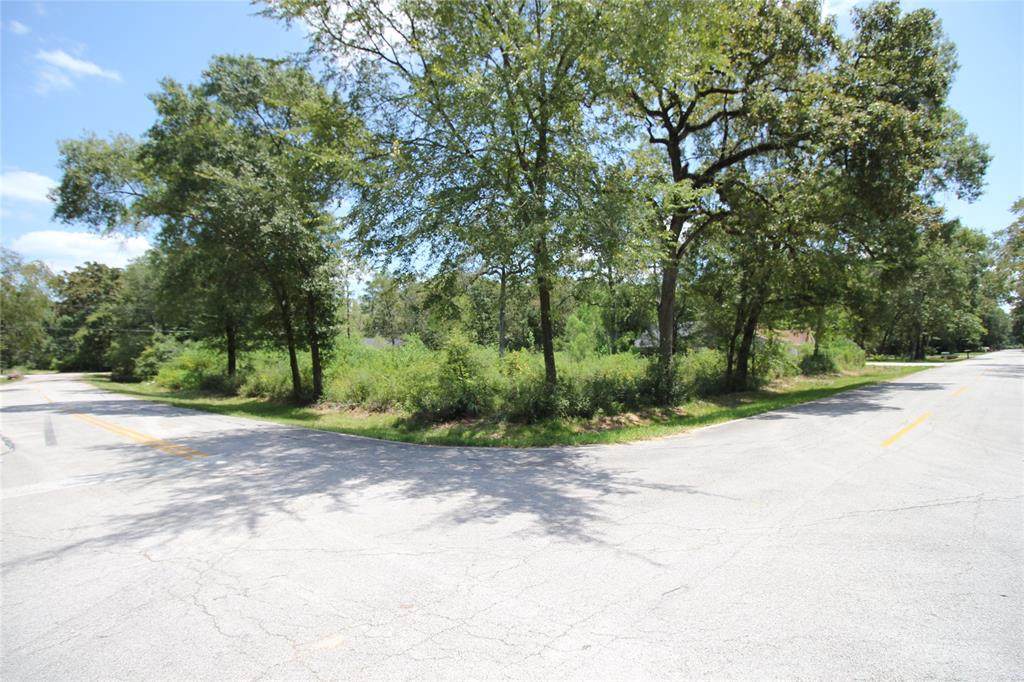 21702 Forest Glade Drive - Photo 1