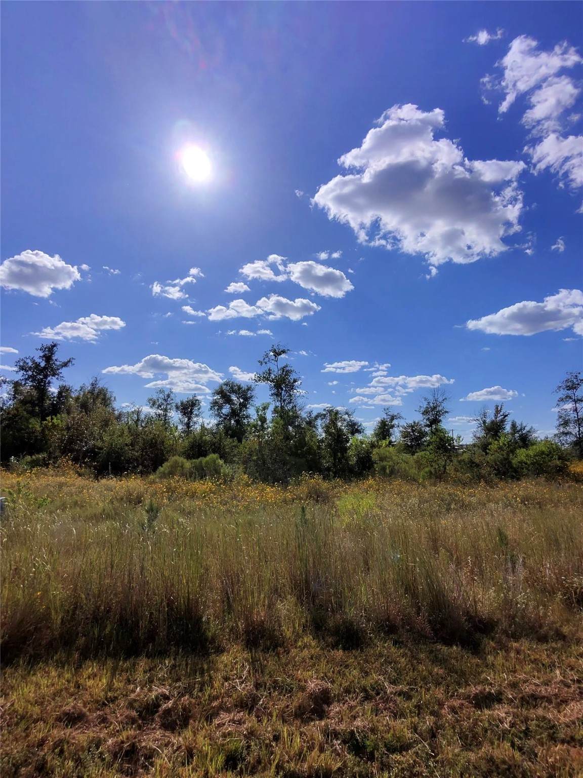 1643 Road 5601 - Photo 1