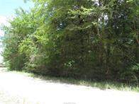 00 Yaupon Lane - Photo 1