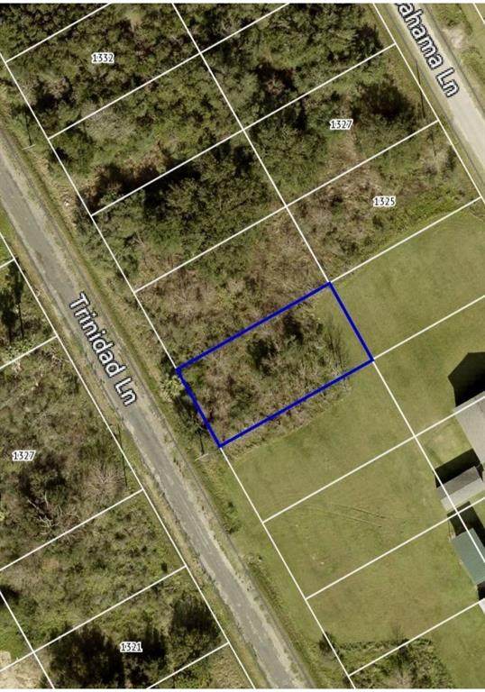 1326 Trinadad - Photo 1