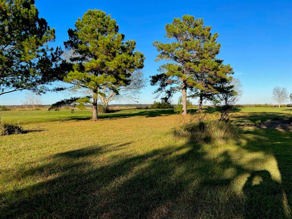 13207 Mesa Lane - Photo 1