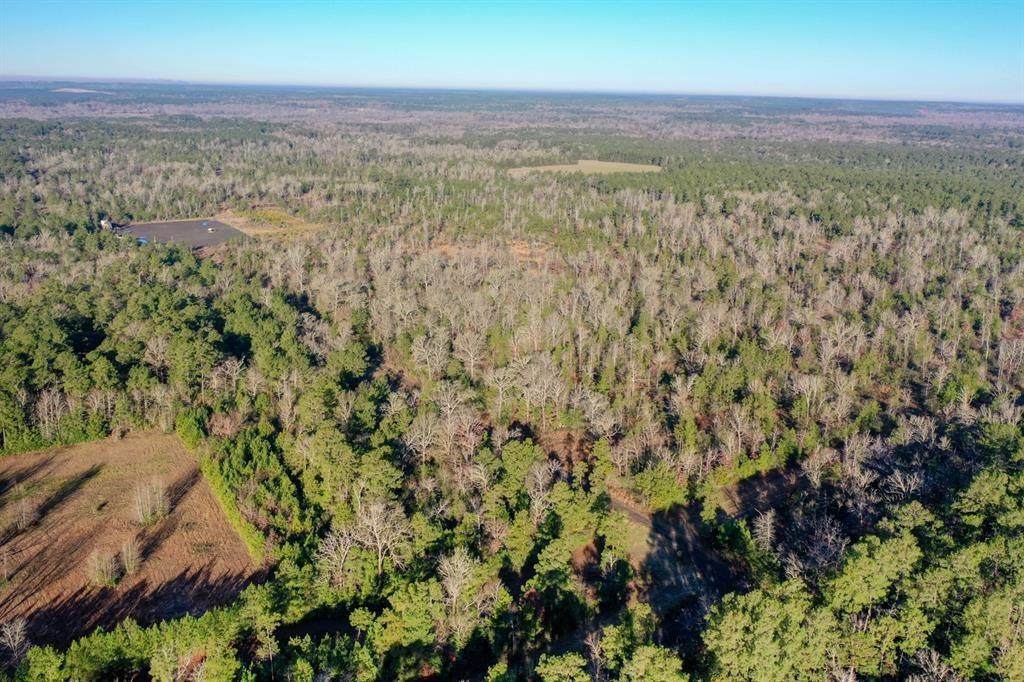 120 AC Hwy 59 - Photo 1