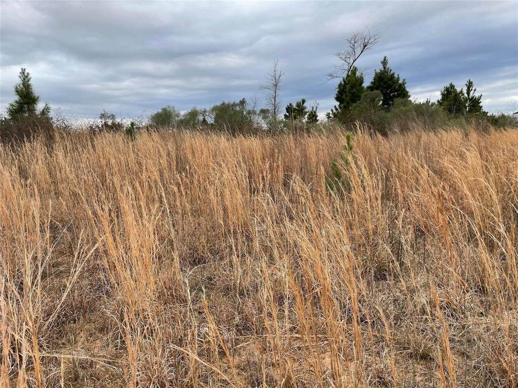 61 Road 5118 - Photo 1
