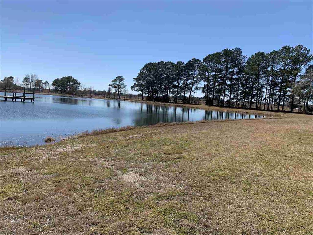 Lot 1 Coon Road - Photo 1