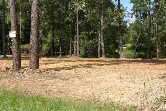 0 Big Deer Dr Drive - Photo 1