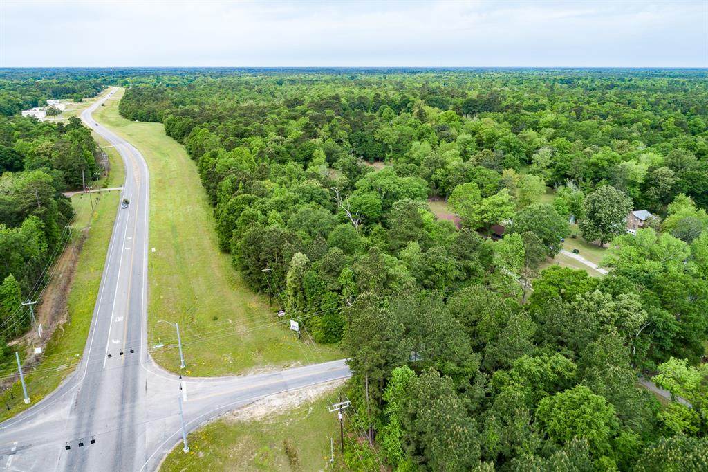 15802 Firetower Road - Photo 1