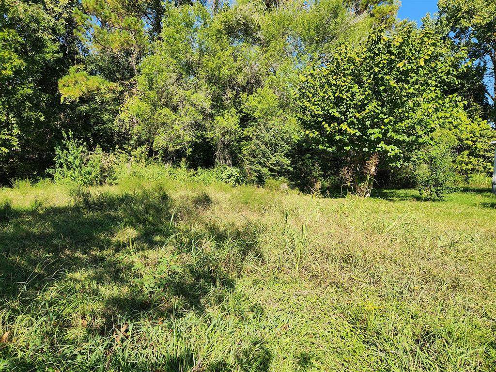 12352 Andwood Street - Photo 1