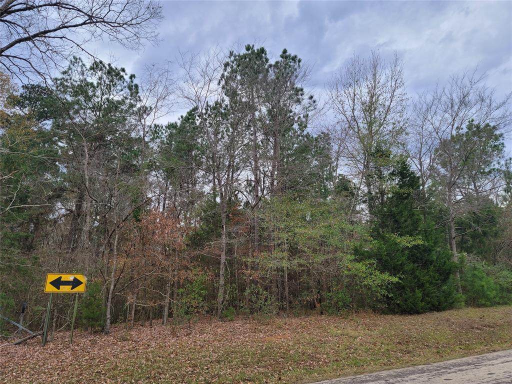 0 County Rd 173 - Photo 1