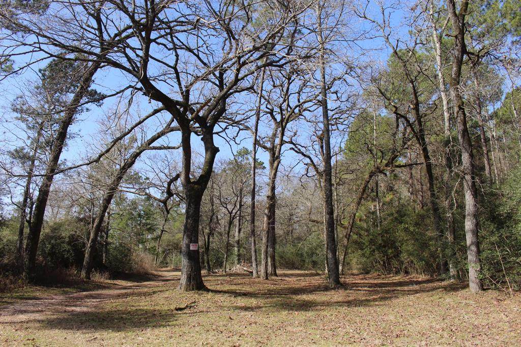 205 Ac Forest Service 219 Road - Photo 1