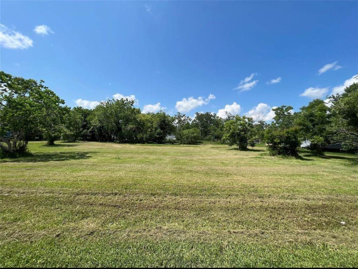 224 Coker Street - Photo 1