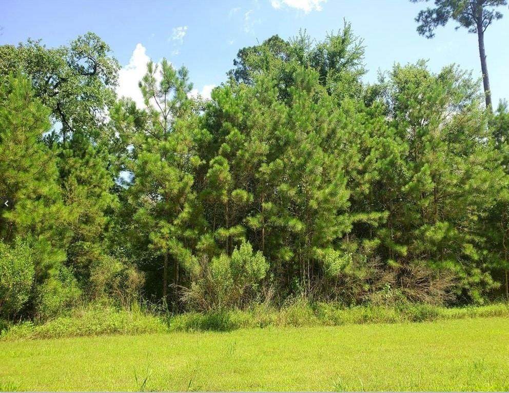 69 Kings Lake Estates Boulevard - Photo 1