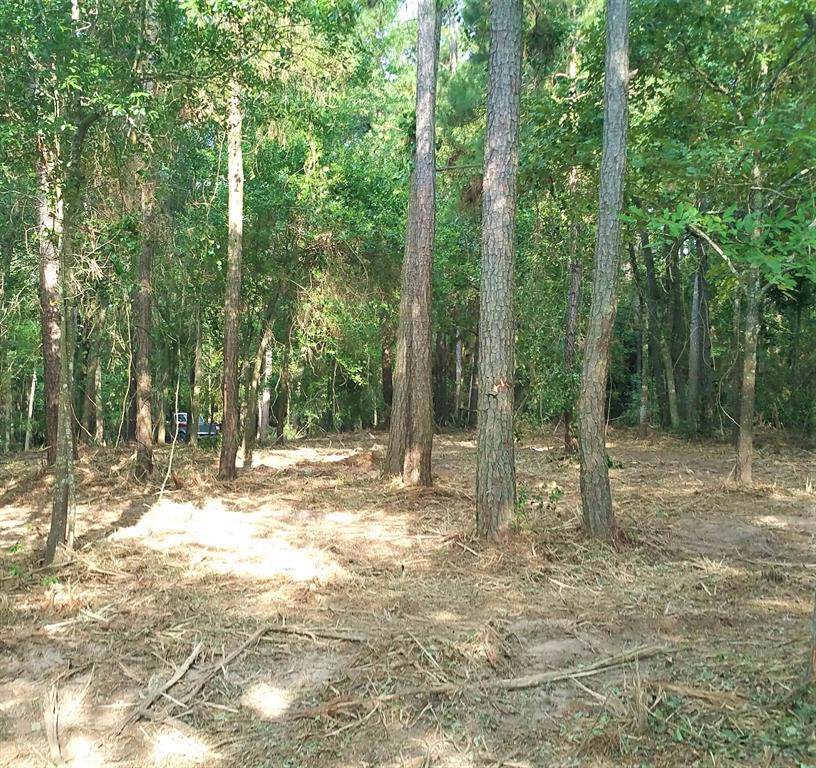 14549 Steede Road - Photo 1