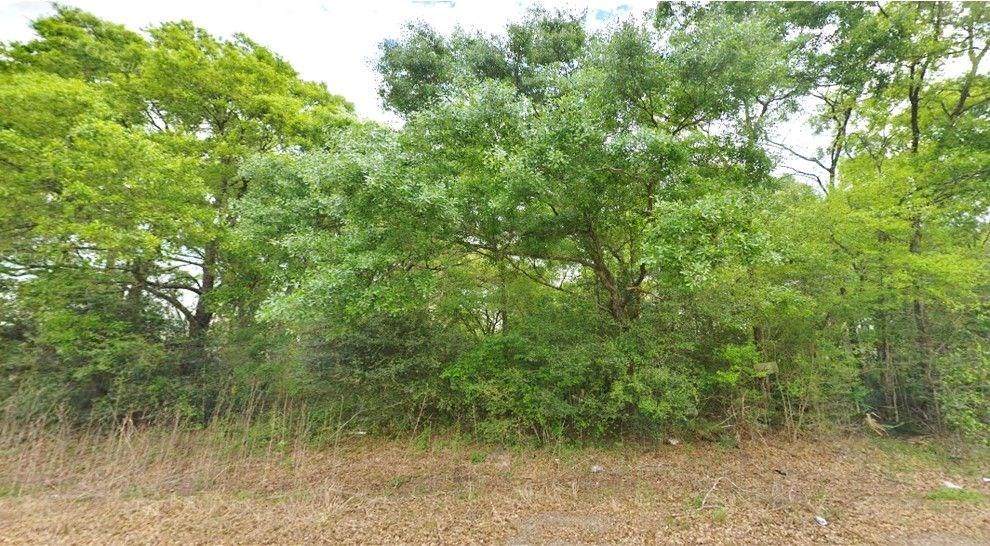 Lots 9-13 Post Oak County Rd 825K Drive - Photo 1