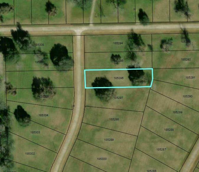 113 Pony Trail - Photo 1