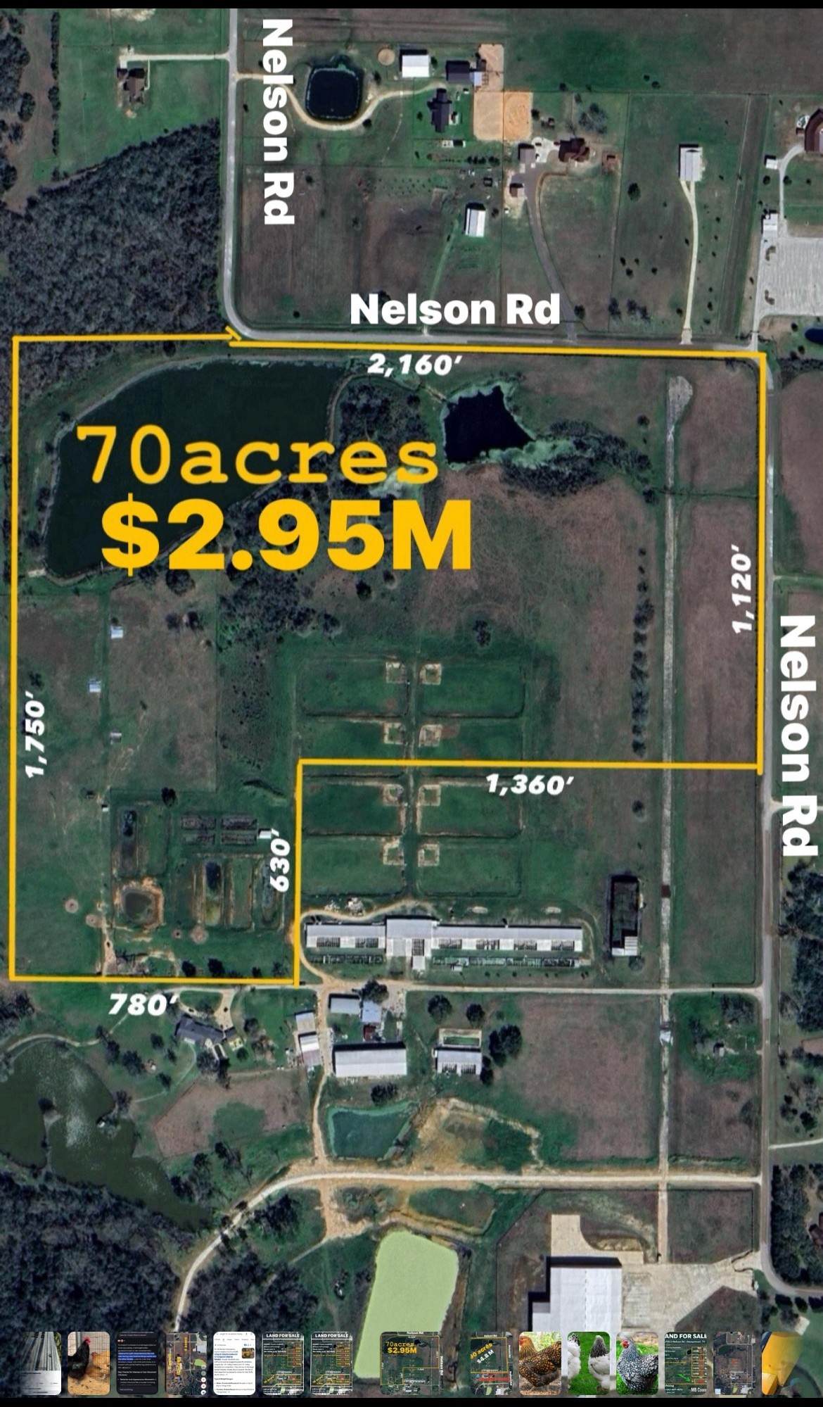 00000 Nelson Road - Photo 1