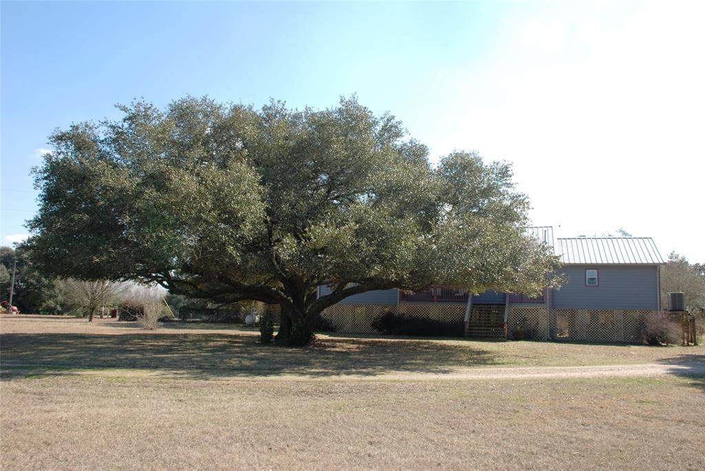 615 Schultz Road - Photo 1