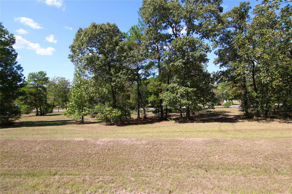 30 Hillsborough Drive - Photo 1