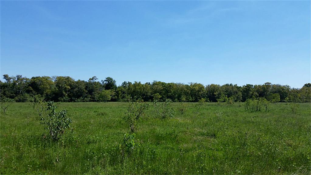 6427 County Road 166 - Photo 1