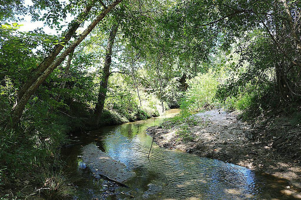 11956 Hwy 90 - Photo 1