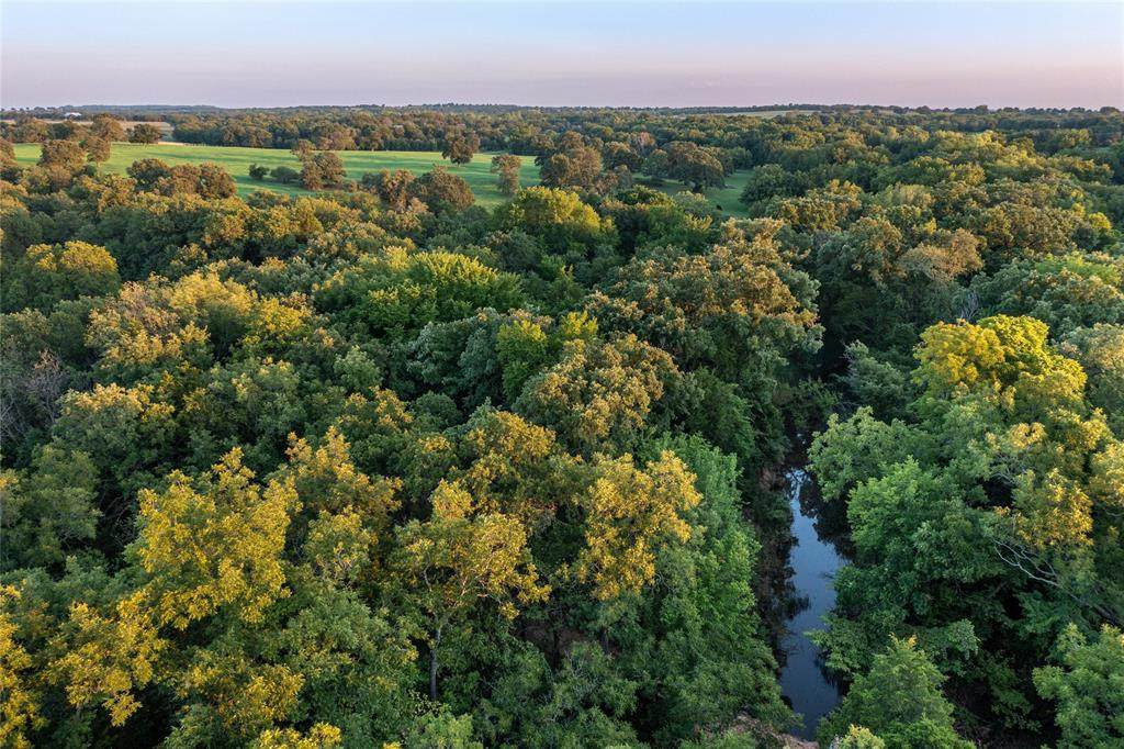 000 Cottonwood Creek Road - Photo 1