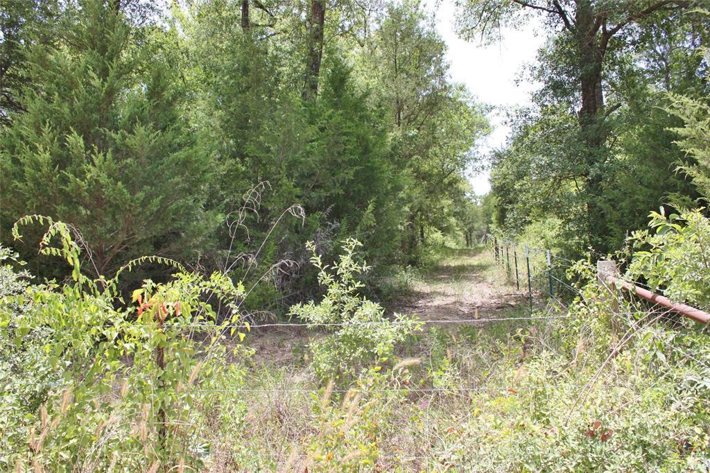 21 AC County Road 349 - Photo 1
