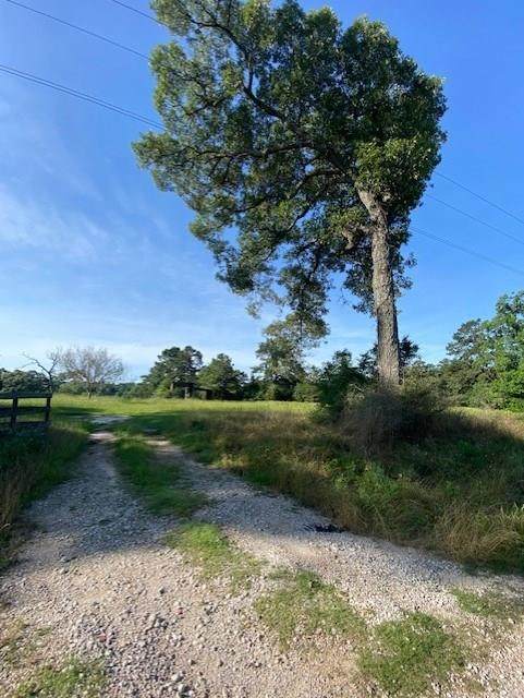 Lot 2 Cedar Lane Loop - Photo 1