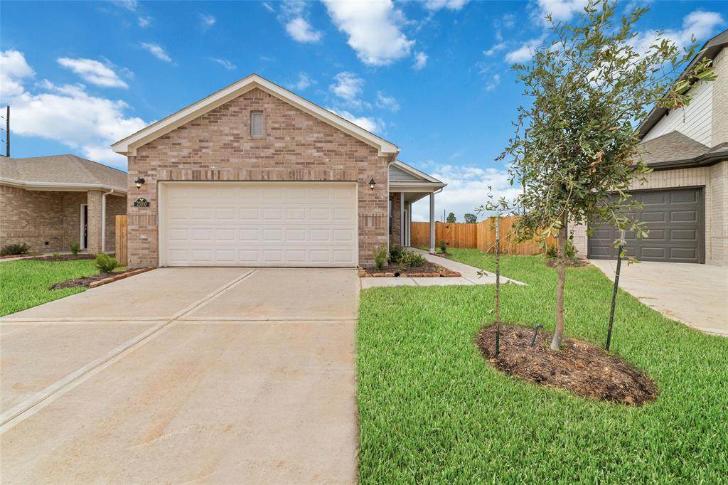 23010 Bright Light Lane - Photo 1