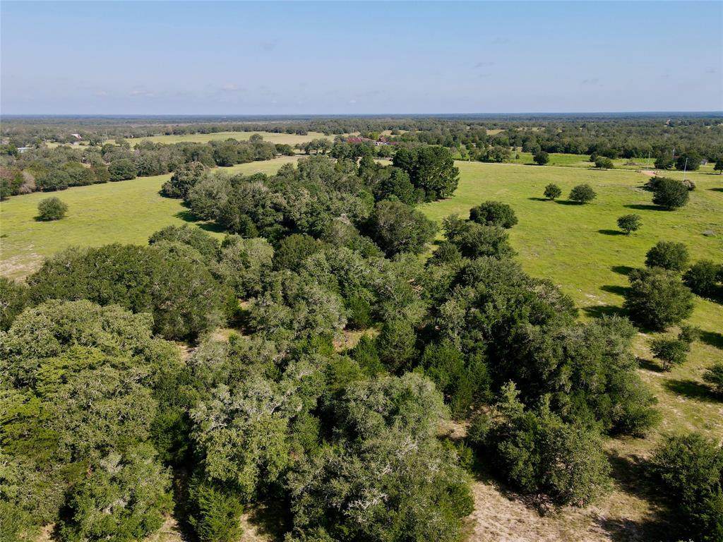 Tract 1 Charcoal Co Lane - Photo 1