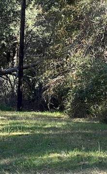 lot 24 Clark Road - Photo 1