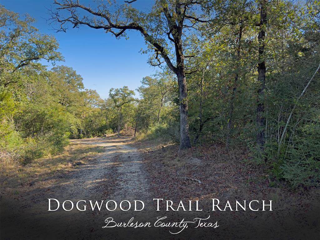 10429 County Road 313 - Photo 1