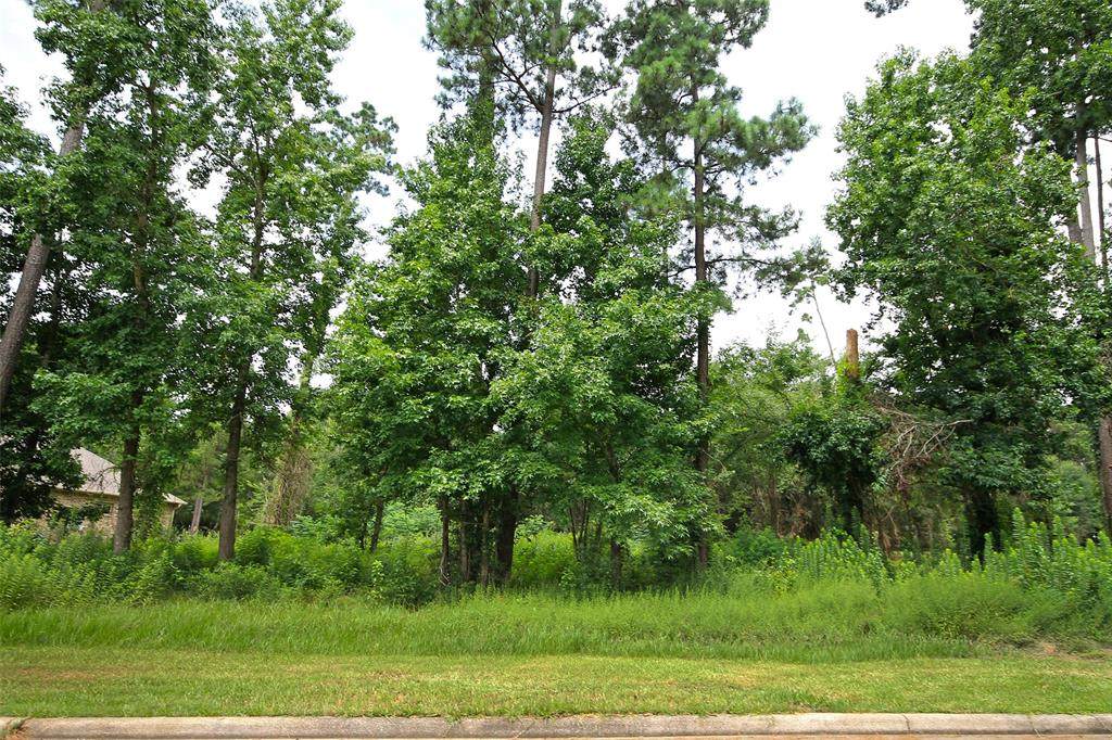 12745 Aries Loop - Photo 1